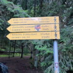 13 km hiking tour from Kutaisi to Borjomi - The Experience in Detail