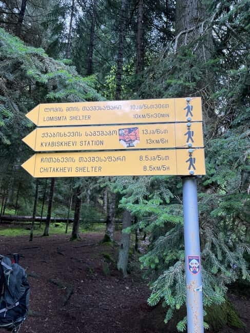 13 km hiking tour from Kutaisi to Borjomi - The Experience in Detail