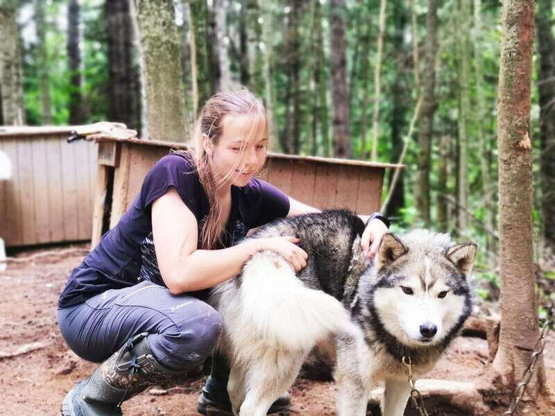15 min. Tadoussac : Behind-the-Scenes Sled Dog Kennel Tour - Who Is This Tour Best For?