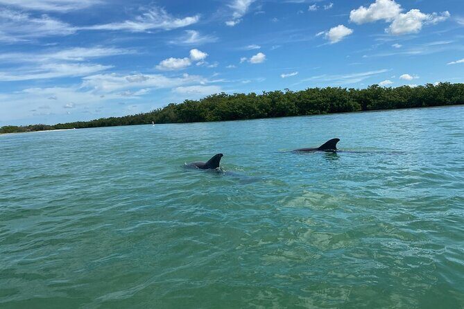 2.5-Hour Guided Group Kayak Tour on Big Hickory Pass - What to Expect from the Tour