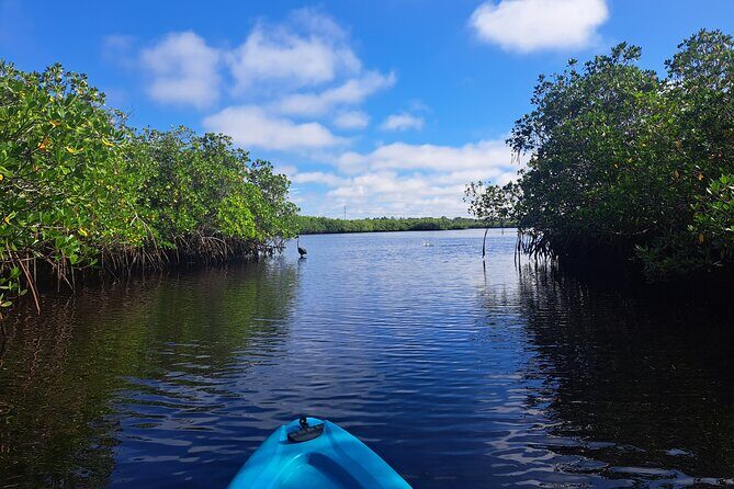 2.5 Hour Kayaking with Manatee and History Tour in Tarpon Springs - The Sum Up