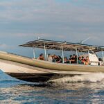 2.5-Hour Whale Watching On A 41' Super-Raft - How Good Is the Viewing?