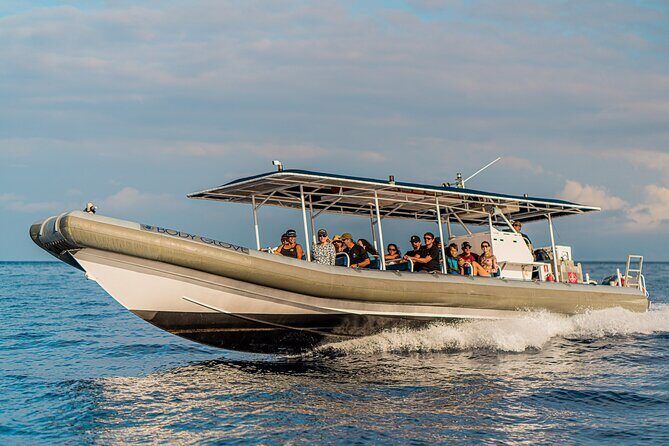 2.5-Hour Whale Watching On A 41' Super-Raft - How Good Is the Viewing?
