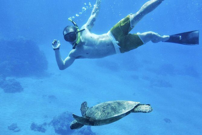 2.5 Hour Xpress Snorkel from Kaanapali Beach - The Itinerary Breakdown