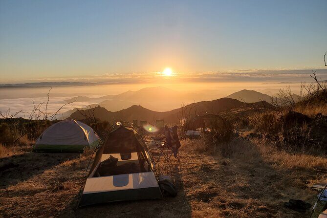 2 Day Beginner Surf Adventure - Who Should Consider This Tour?