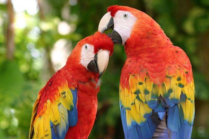 2 Day Combo Tour, Xcaret, Xel-Ha, Xplor and Chichen Itza Option - How the Tour Works