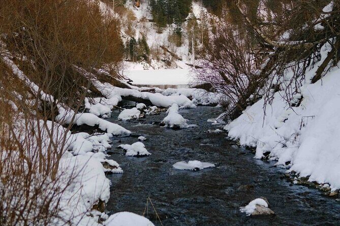 2 Day Tour Explore Charyn Canyons Kolsay and Kaindy Lake - FAQ