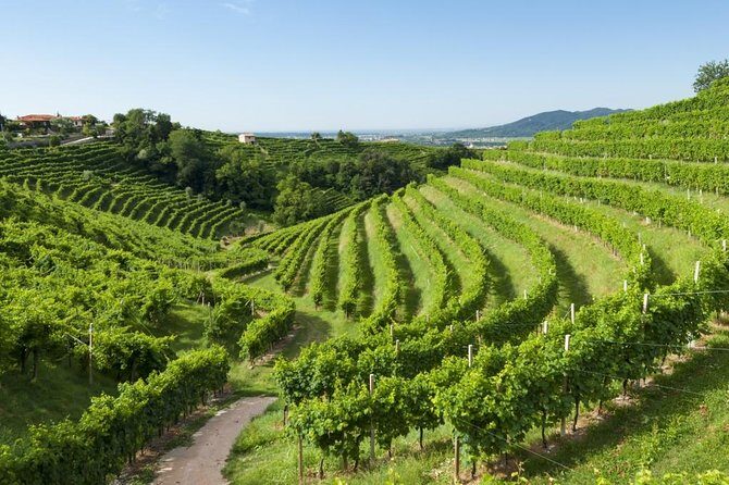 2 Guests Private Prosecco Road Tour All Inclusive from Conegliano - Transportation & Logistics