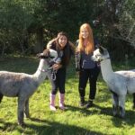 2-Hour Alpaca Farm Experience in Kenilworth - The Reviews: What Visitors Are Saying