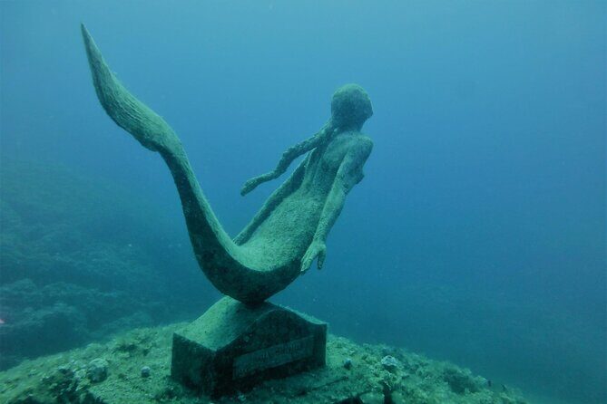 2-Hour Diving & Diving in Marina del Plemmirio Area in Syracuse - The Experience Itself: What to Expect