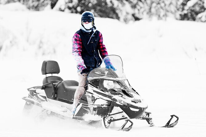 2-Hour Guided Snowmobile Tour in Fairbanks - Who Will Love This Tour?
