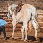 2-Hour Horse Rides Capitol Reef - Why Travelers Love This Experience