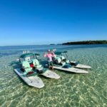 2 Hour Key West Mini Catamaran Eco Tour - Who Will Love This Tour?