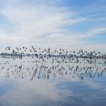 2 Hour Night Kayak Tour in Venice, premium experience with sunset - The Experience in Detail