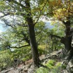 2-hour Private Alpine Hiking Tour on Seekopf Mountain, Wachau Valley from Vienna - What to Expect from the Seekopf Mountain Hike