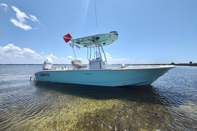 2-Hour Private Sightseeing Dolphin Tour in Panama City Beach - The Wildlife and Nature Experience