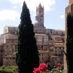 2 hour Siena Private Guided Walking Tour - Why This Tour Might Be Perfect for You