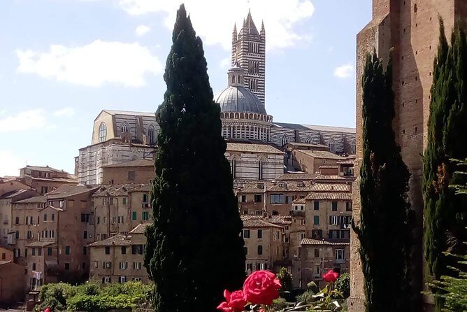2 hour Siena Private Guided Walking Tour - Why This Tour Might Be Perfect for You