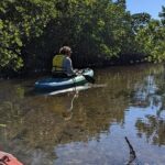 2 Hour Tandem Kayak Tour (Price for 2 People) - What the Itinerary Offers