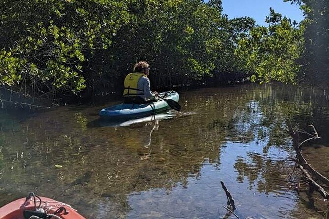 2 Hour Tandem Kayak Tour (Price for 2 People) - What the Itinerary Offers