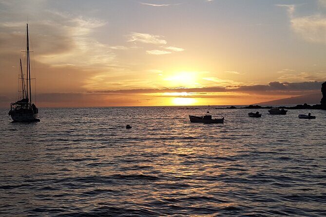 2 hour trip to see whales dolphins puerto colon adeje - Price and Value for Money