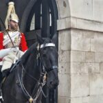 2 Hour Walking Tour from Buckingham Palace to Big Ben - Who Will Love This Tour?