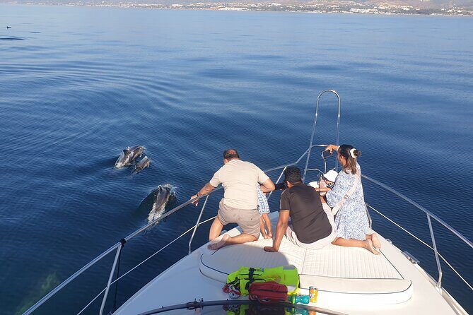 2 Hours Dolphin Watching in Marbella - The Itinerary and Highlights