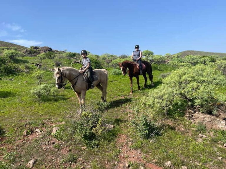 2 hours Green Mountains Horse Riding Tour - The Itinerary Breakdown