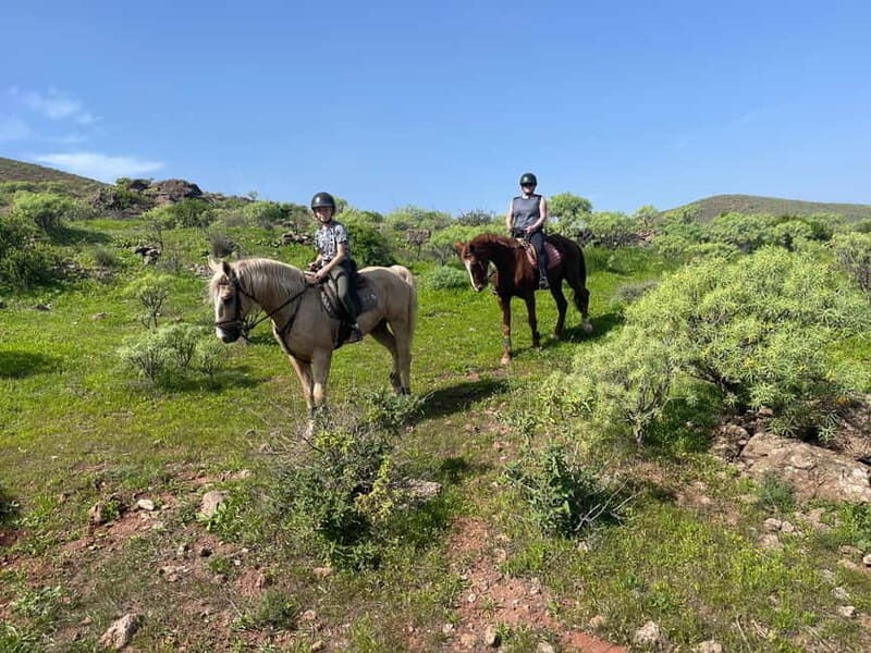 2 hours Green Mountains Horse Riding Tour - The Itinerary Breakdown