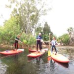 2 Hours guided tour in Sup in the Syracuse coast - Why This Tour Could Be Perfect for You
