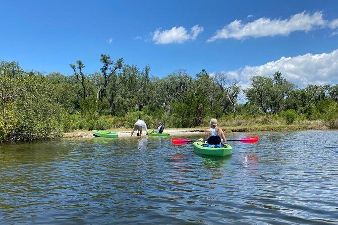 2 Hours Kayak Eco Tour in Tarpon Springs - Is This Tour Right for You?