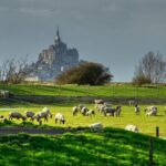 2 Hours Private Walking Tour of Mont Saint Michel - The Practical Aspects