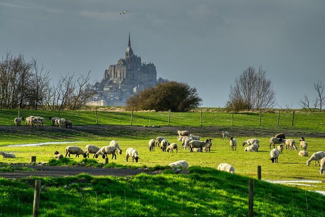 2 Hours Private Walking Tour of Mont Saint Michel - The Practical Aspects