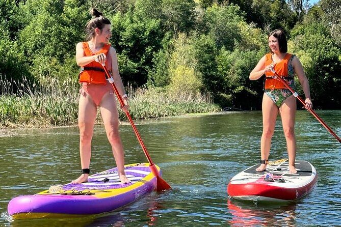 2 Hours SUP Activity on Arda River - What to Expect During the Tour