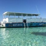 2-Stop Snorkeling and Dolphin Cruise from Destin - Who Would Love This Tour?