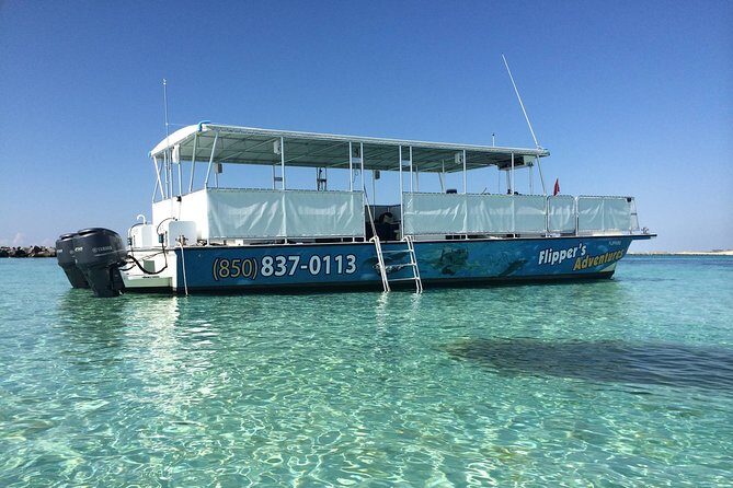 2-Stop Snorkeling and Dolphin Cruise from Destin - Who Would Love This Tour?