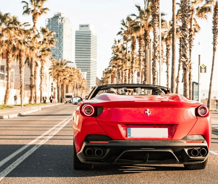 20-minute Barceloneta Beach Supercar City Tour - The Vehicles - Picking Your Dream Supercar