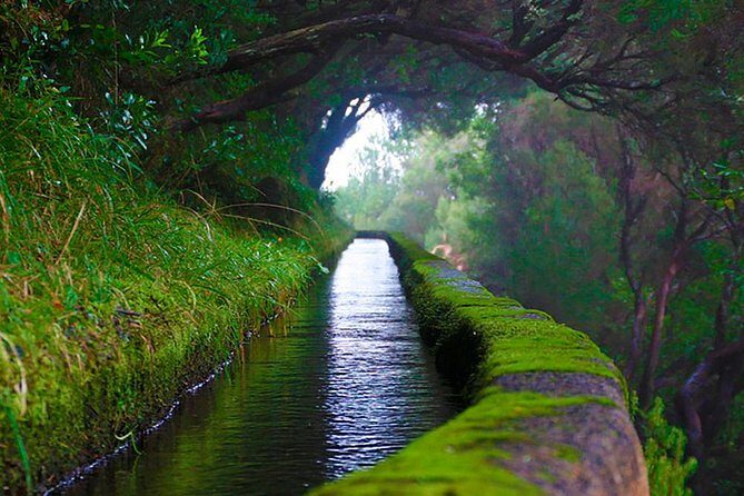 "25 Fountains" Walk / Lost In The Beautiful Forest - Final Thoughts