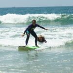 2h of Private Surf Lesson for Beginners in Santa Monica - The Experience from the Reviews