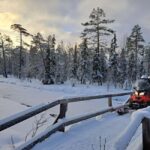 2h private snowmobile experience in Rovaniemi's forest - Practical Details: Timing, Group Size, and Flexibility