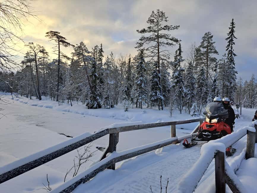 2h private snowmobile experience in Rovaniemi's forest - Practical Details: Timing, Group Size, and Flexibility
