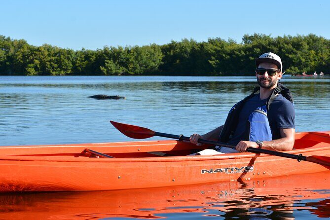 2Hour Everglades Kayak Safari Adventure Through Mangrove Tunnels - What Makes This Tour Stand Out