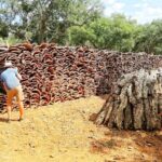 2hr Cork Safari in a Classical Land Rover - An In-Depth Look at the Cork Safari Experience