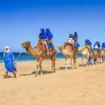 2x1 Tour: Cabo San Lucas Arch + Camels Ride + Pick up! - The Practical Side: Price, Cost, and Value