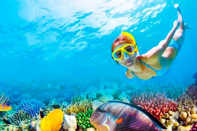 2x1 Tour: Isla Contoy, Isla Mujeres, Open Bar, Lunch and Transfers - Practical Details and What You Should Know