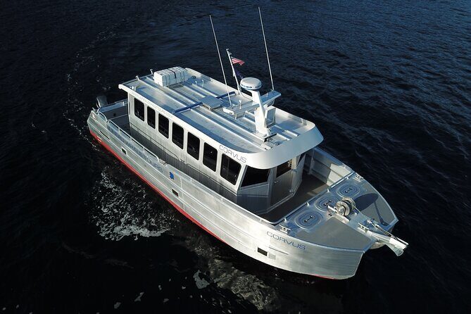 3.5 Hour Crowd-Skipping Whale Tour in Juneau Alaska - FAQ