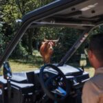 3.5h Buggy Tour  Arcos de Valdevez  Peneda Gerês - The Reviews Say It All