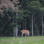 3 Day Adventure In Harghita & Surrounding Wonders - What to Expect from the Journey