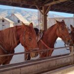 3-day pack: Horseback adventure in the Tabernas Desert - Day 1: Arrival and Introduction to Your Horse