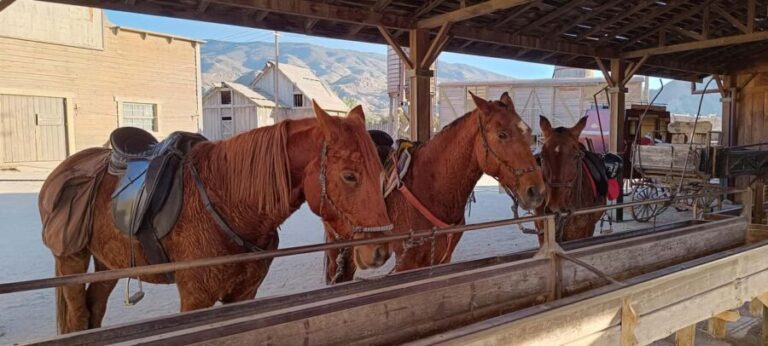 3-day pack: Horseback adventure in the Tabernas Desert - Day 1: Arrival and Introduction to Your Horse